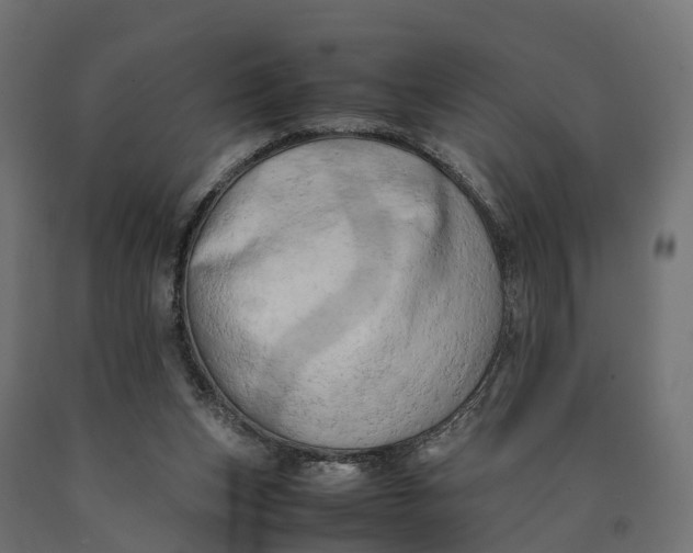X0000090430159200708031138