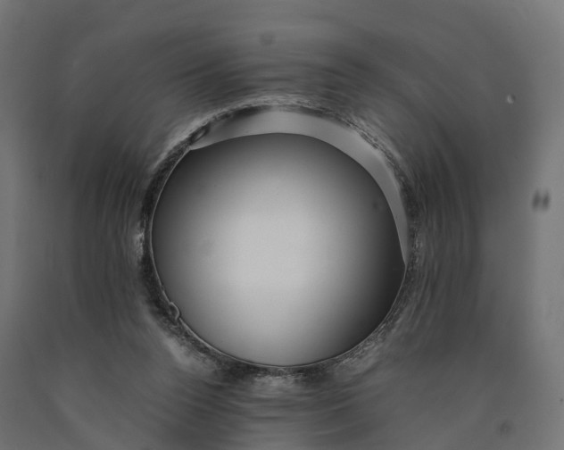 X0000090430160200708031138