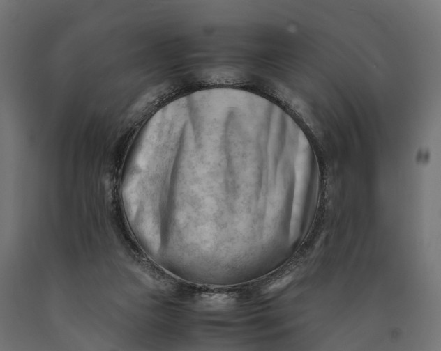 X0000090430161200708031138