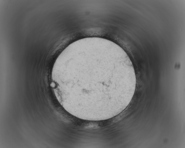 X0000090430162200708031138