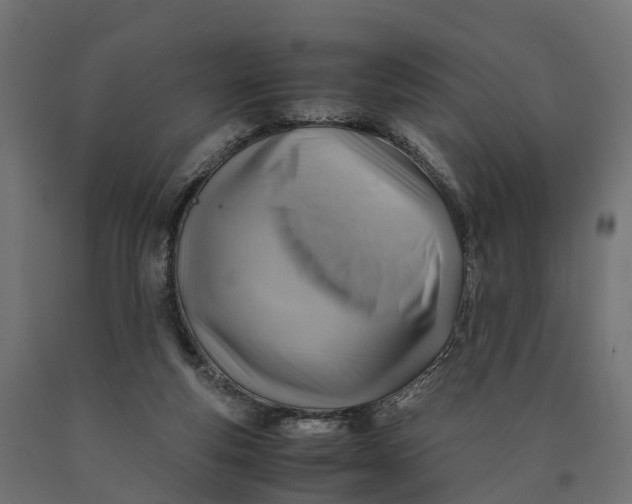 X0000090430163200708031138