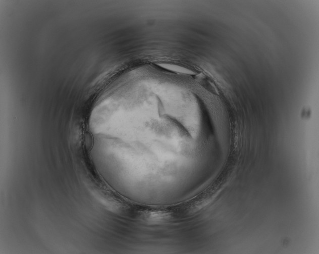 X0000090430165200708031138