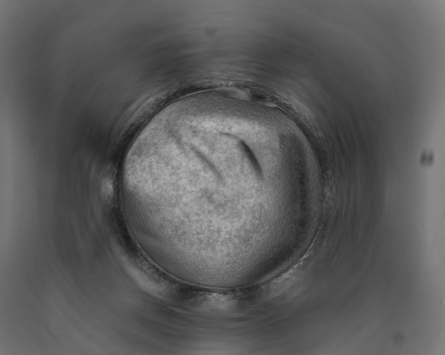 X0000090430166200708031138