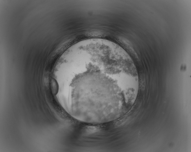 X0000090430167200708031138