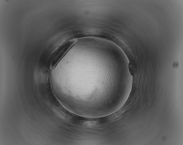 X0000090430168200708031138