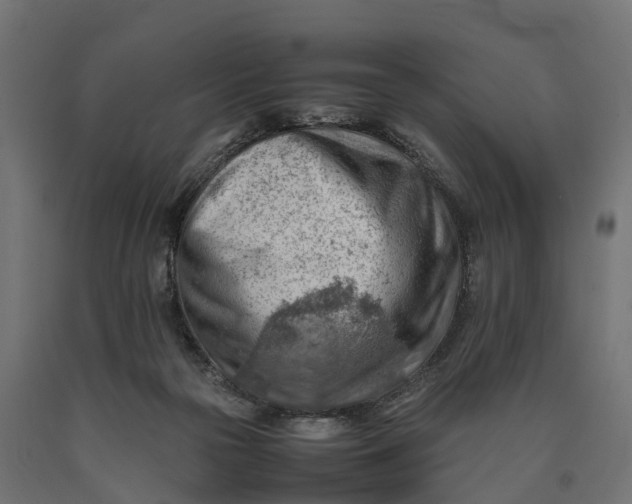X0000090430169200708031138
