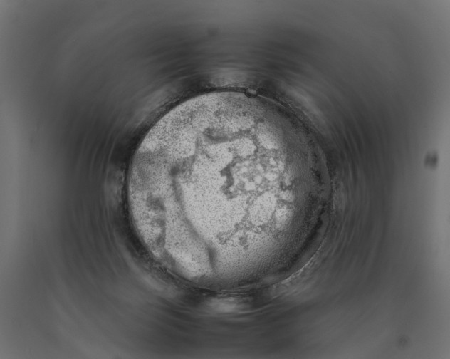 X0000090430171200708031138
