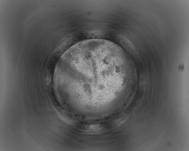 X0000090430173200708031138