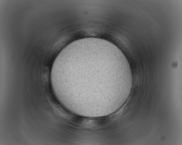 X0000090430174200708031138