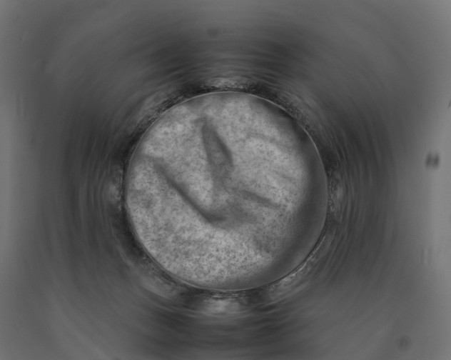 X0000090430175200708031138