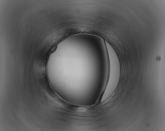 X0000090430176200708031138