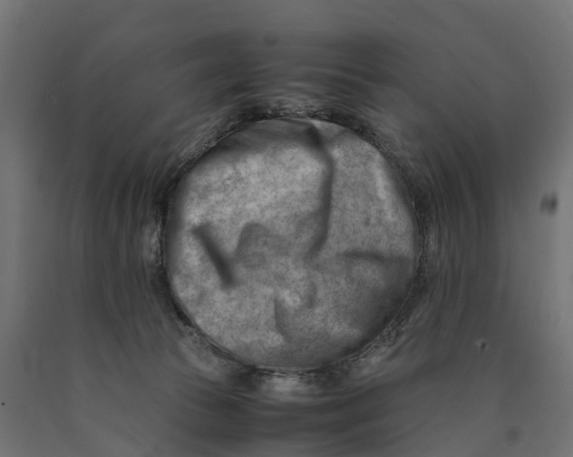 X0000090430177200708031138