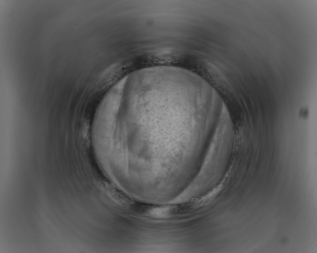 X0000090430178200708031138