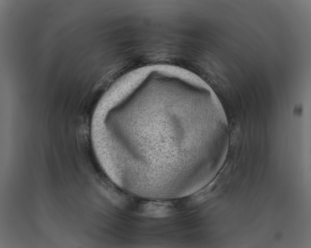 X0000090430179200708031138