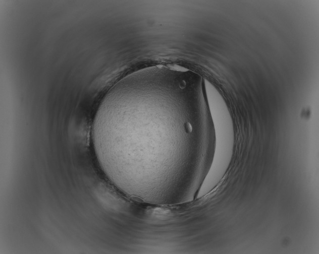 X0000090430180200708031138