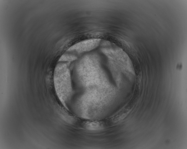 X0000090430181200708031138