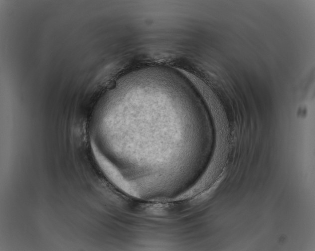 X0000090430182200708031138