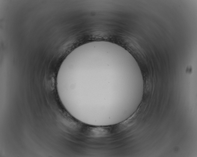 X0000090430183200708031138
