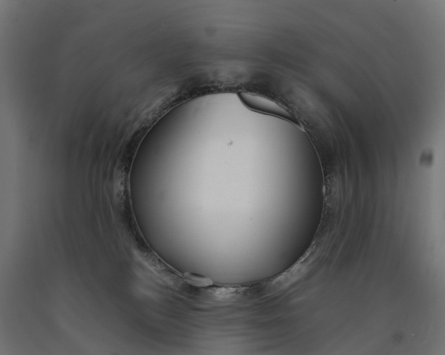 X0000090430184200708031138