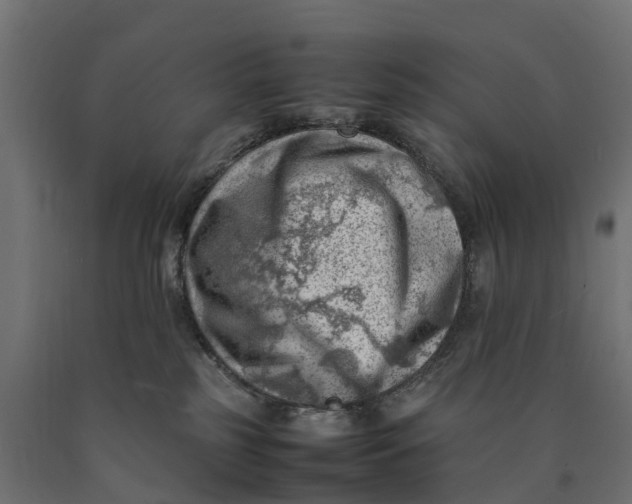 X0000090430185200708031138