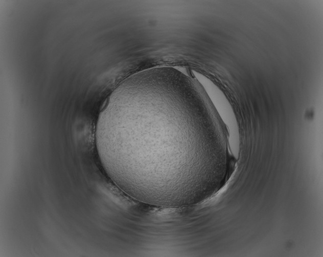 X0000090430186200708031138