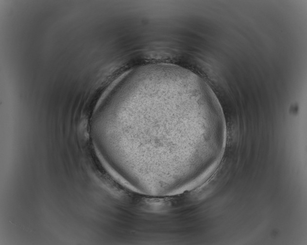 X0000090430187200708031138