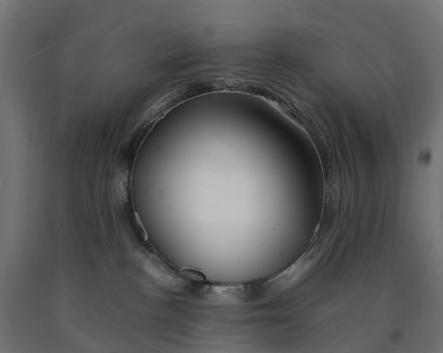 X0000090430188200708031138