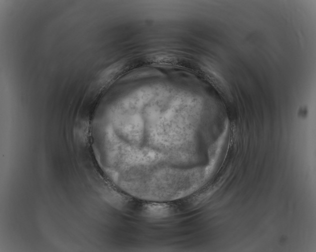 X0000090430189200708031138