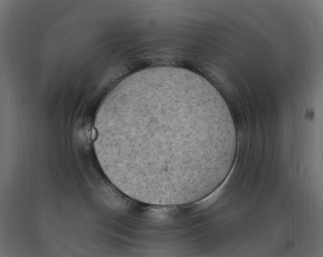 X0000090430190200708031138