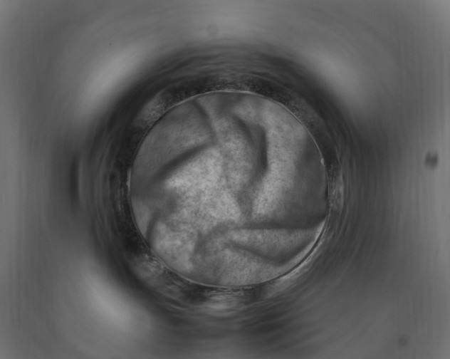 X0000090430191200708031138