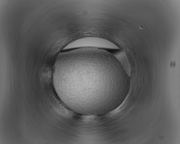 X0000090430192200708031138
