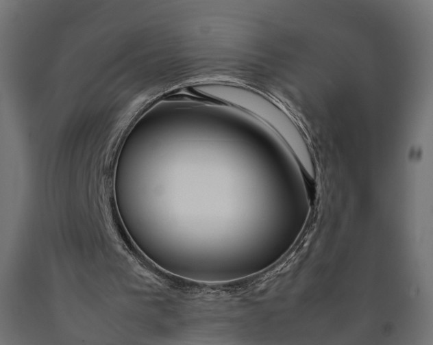 X0000090430193200708031137