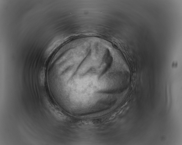 X0000090430194200708031137