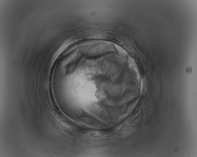 X0000090430195200708031137