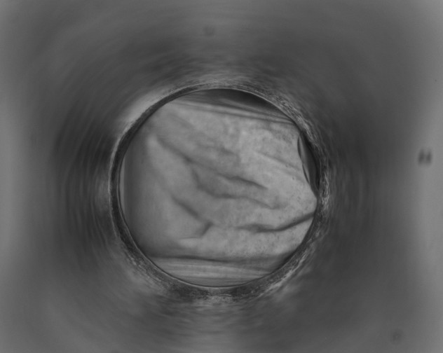 X0000090430196200708031137