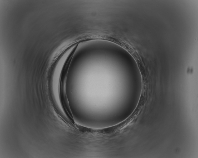 X0000090430197200708031137