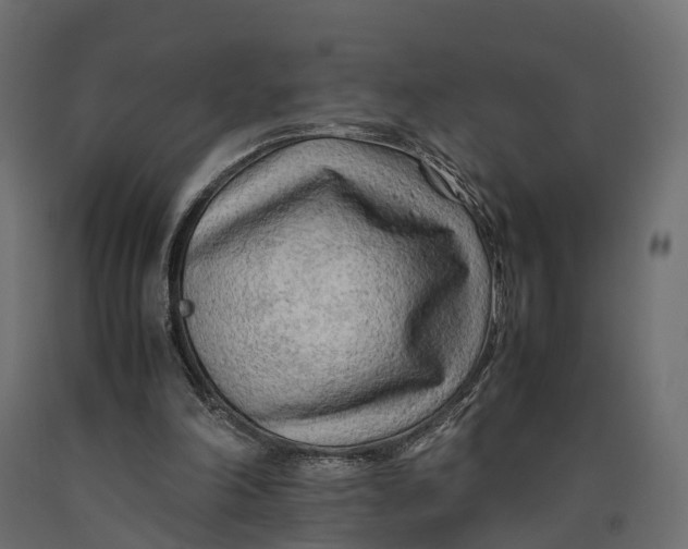 X0000090430198200708031137