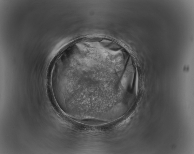 X0000090430199200708031137