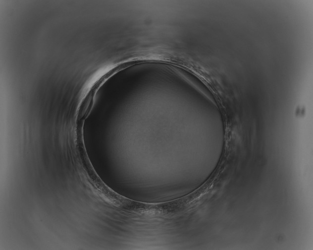 X0000090430200200708031137