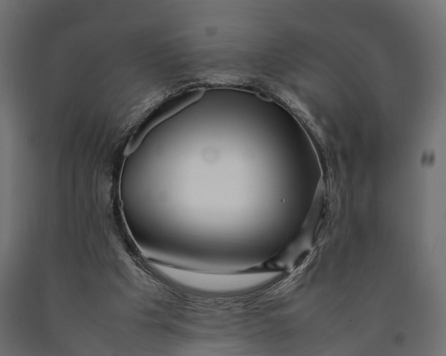 X0000090430201200708031137