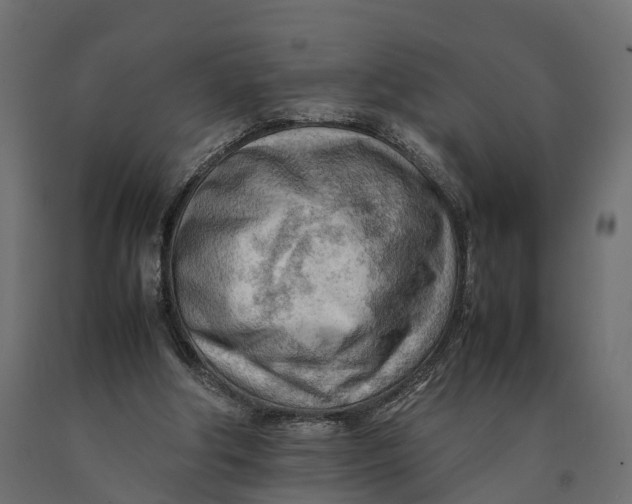 X0000090430202200708031137