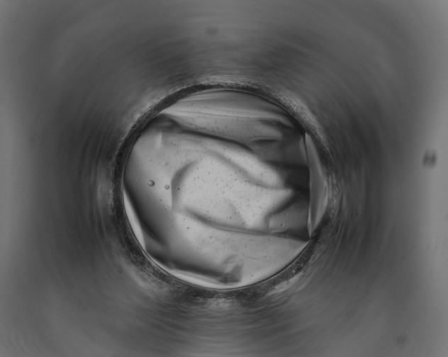 X0000090430204200708031137