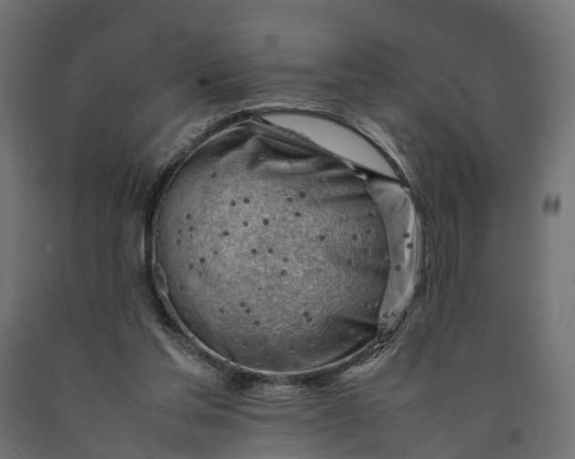 X0000090430205200708031137