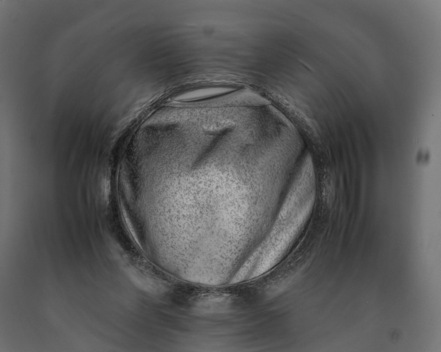 X0000090430206200708031137