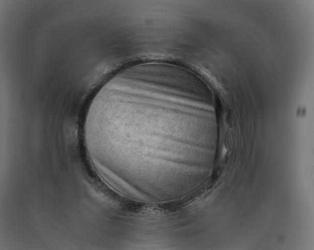 X0000090430207200708031137