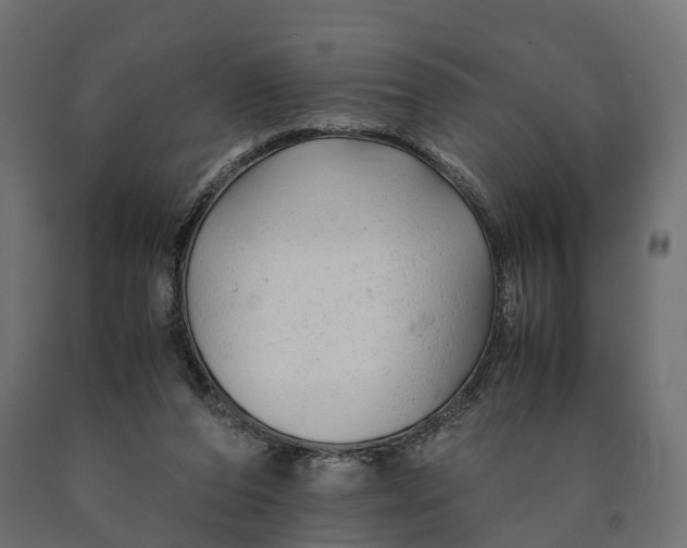 X0000090430208200708031137