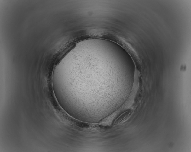 X0000090430209200708031137