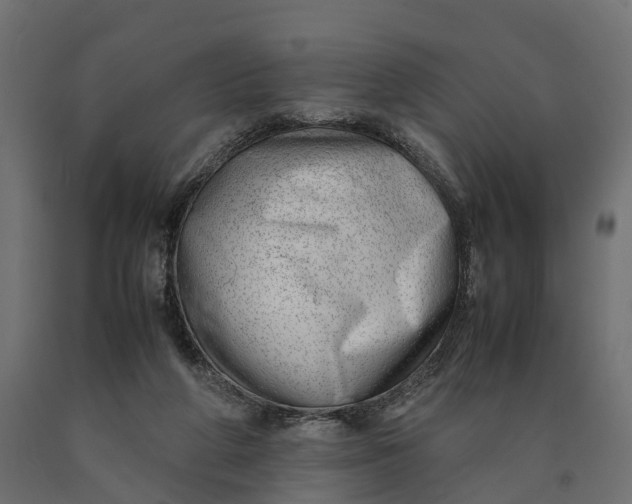 X0000090430210200708031137