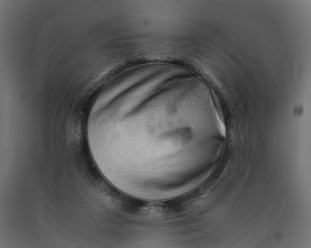 X0000090430211200708031137