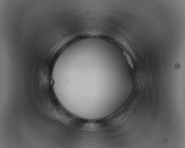 X0000090430212200708031137